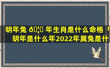 明年兔 🦍 年生肖是什么命格「明年是什么年2022年属兔是什么命」